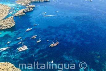 Photo of our school boat trip to Comino from the air