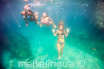 3 friends swimming underwater.