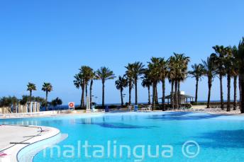 Hilton Malta swimming pool with sea view