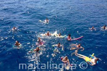 A large group of English language students swimming together