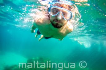 A student snorkelling