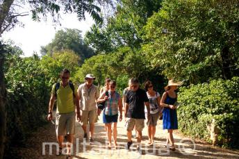 English language guided tour of the Maltese countryside