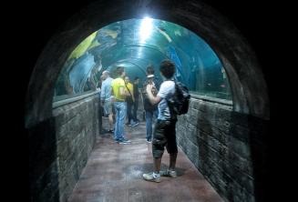 Students in an aquarium tunnel