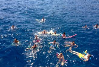 A large group of English language students swimming together